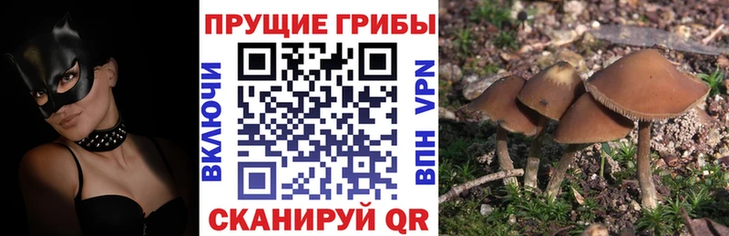 Псилоцибиновые грибы ЛСД  Каневская 