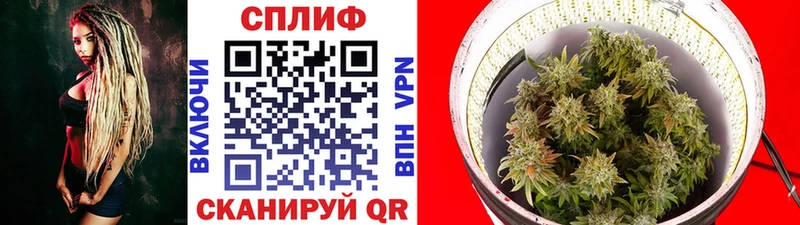 Бошки Шишки индика  где купить наркоту  Каневская 